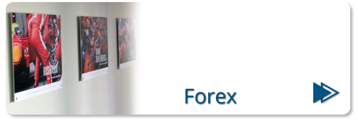 Forex.ch